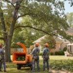Benefits of Hiring a Professional Arborist for Tree Services