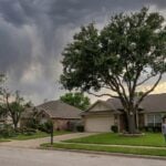 How Tree Care Lowers Storm Damage Risk — Practical Protection Strategies