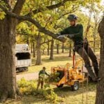 What’s Included in Professional Tree Maintenance? A clear guide to tree care and health