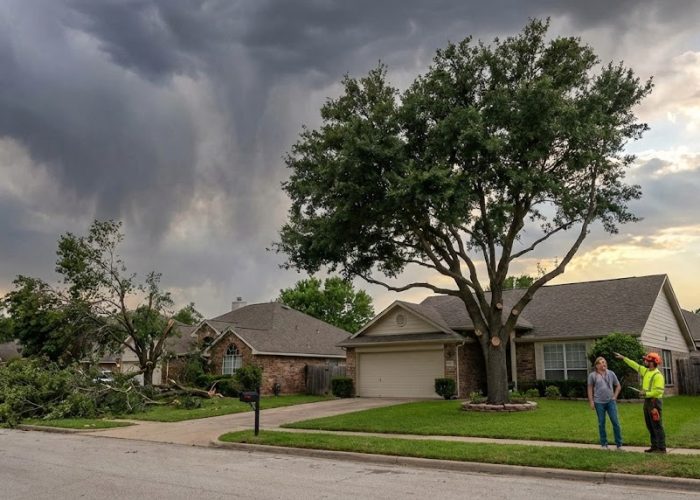 How Tree Care Lowers Storm Damage Risk — Practical Protection Strategies