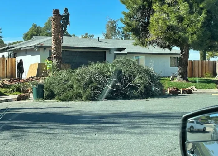 Protect Your Home and Property